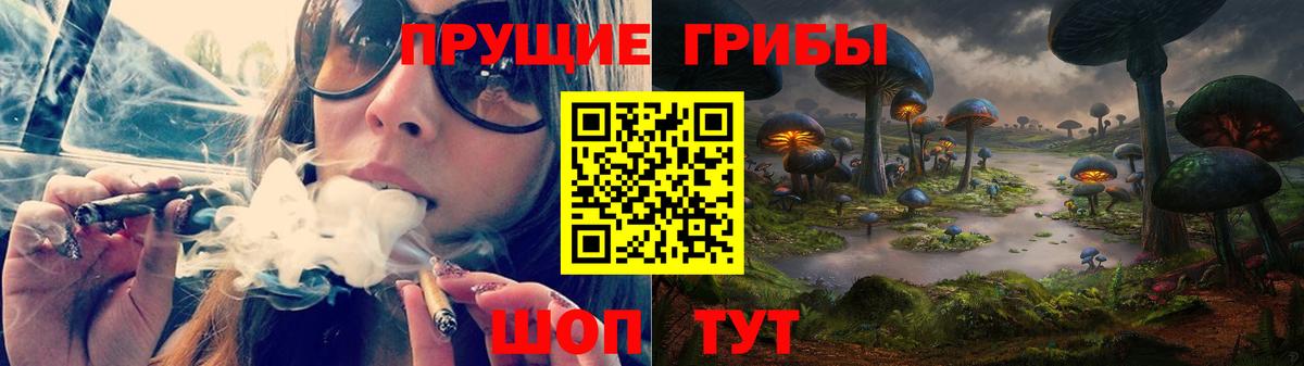 Псилоцибиновые грибы Magic Shrooms  Вход с VPN  Алейск  Псилоцибиновые грибы мицелий 